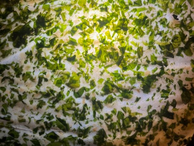 Hyacinthe Tuile d'épinard